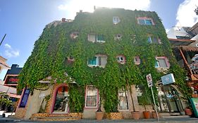 Casa Delfin